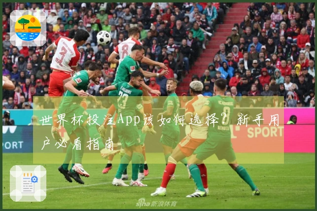 世界杯投注App该如何选择？新手用户必看指南