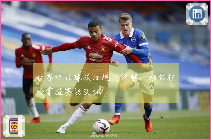 世界杯让球投注规则详解，助你轻松掌握赛场变化