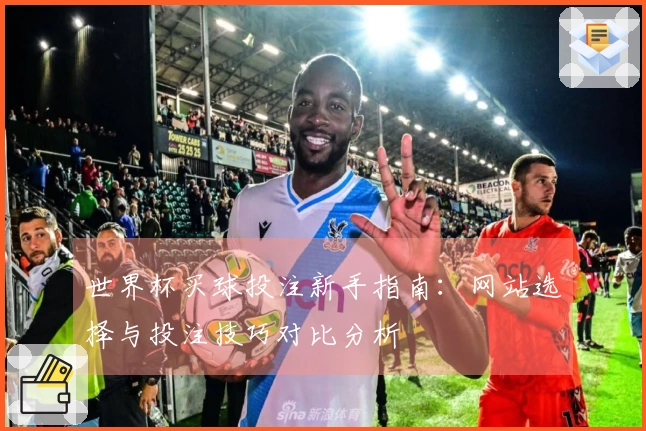 世界杯买球投注新手指南：网站选择与投注技巧对比分析
