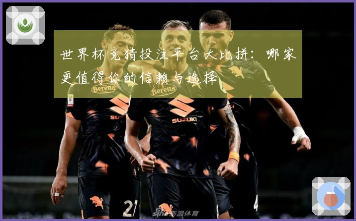 世界杯竞猜投注平台大比拼：哪家更值得你的信赖与选择