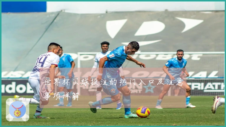 世界杯买球投注的热门入口及注意事项详解