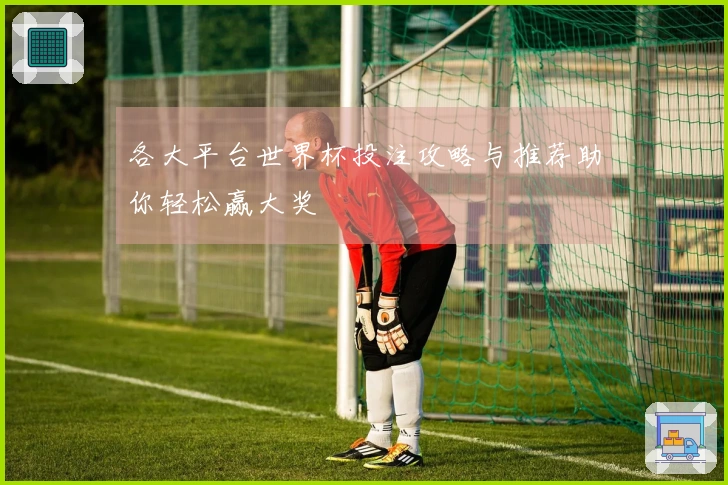 各大平台世界杯投注攻略与推荐助你轻松赢大奖