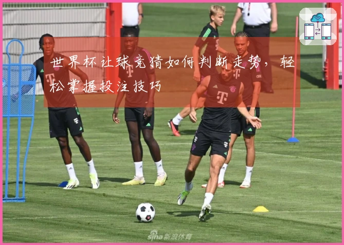 世界杯让球竞猜如何判断走势，轻松掌握投注技巧