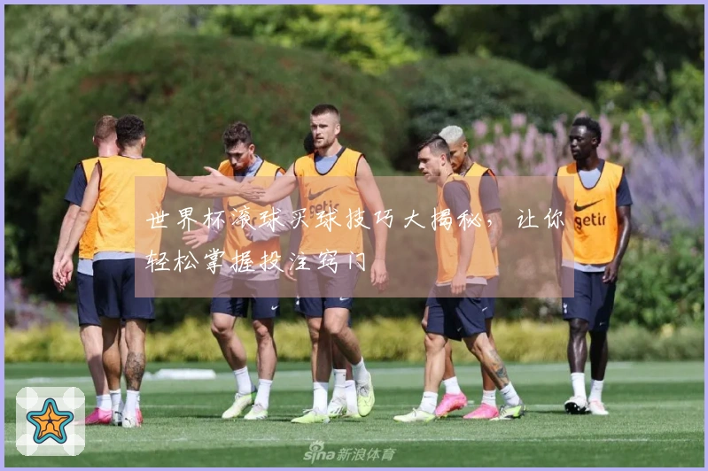 世界杯滚球买球技巧大揭秘，让你轻松掌握投注窍门
