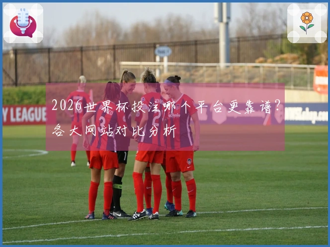 2026世界杯投注哪个平台更靠谱？各大网站对比分析