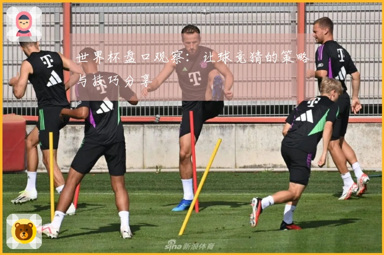 世界杯盘口观察：让球竞猜的策略与技巧分享