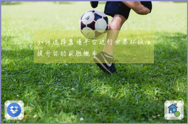 如何选择靠谱平台进行世界杯投注提升你的获胜概率