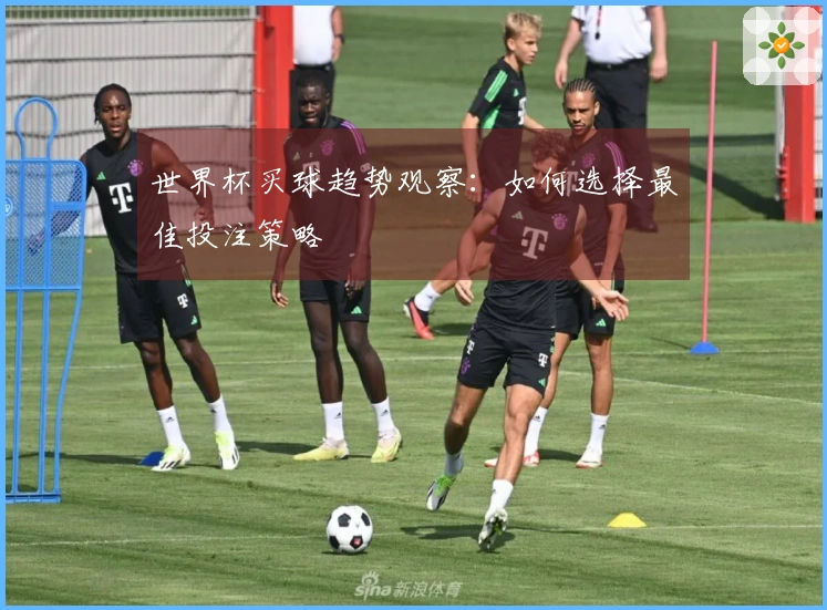 世界杯买球趋势观察：如何选择最佳投注策略