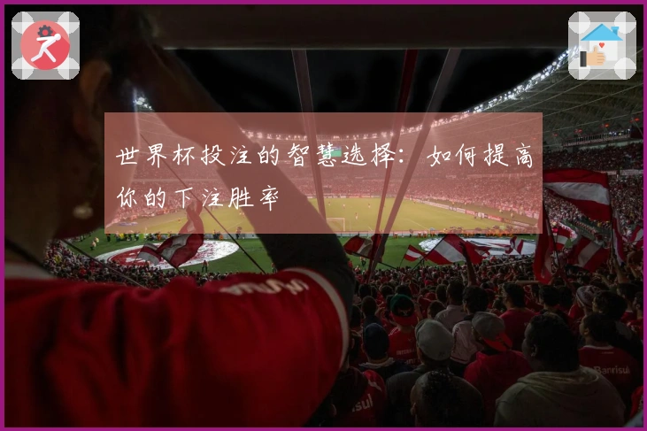 世界杯投注的智慧选择：如何提高你的下注胜率