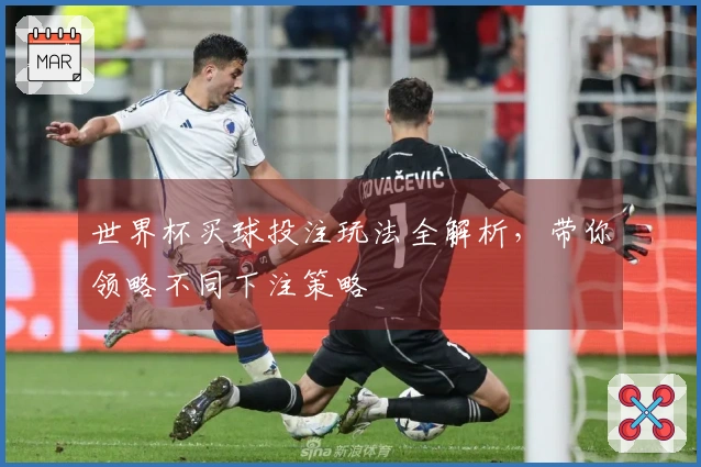 世界杯买球投注玩法全解析，带你领略不同下注策略