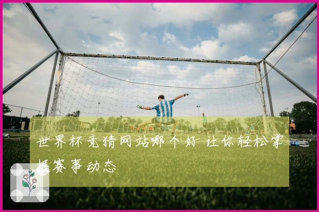 世界杯竞猜网站哪个好 让你轻松掌握赛事动态