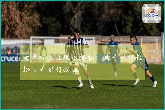 世界杯投注玩法揭秘：新手如何轻松上手进行投注