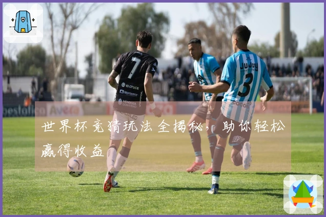世界杯竞猜玩法全揭秘，助你轻松赢得收益