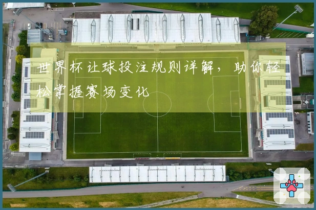 世界杯让球投注规则详解，助你轻松掌握赛场变化