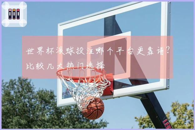 世界杯滚球投注哪个平台更靠谱？比较几大热门选择
