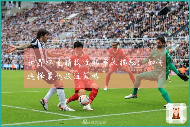 世界杯竞猜投注赔率大揭秘：如何选择最优投注策略