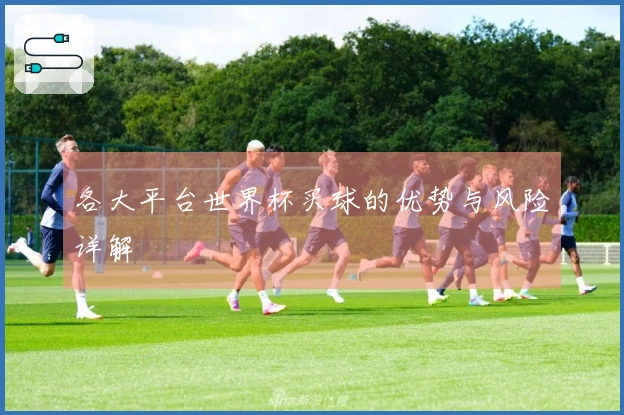 各大平台世界杯买球的优势与风险详解