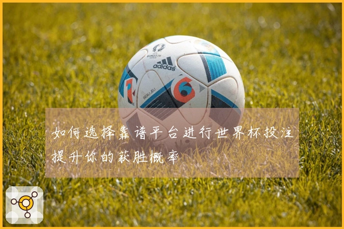 如何选择靠谱平台进行世界杯投注提升你的获胜概率